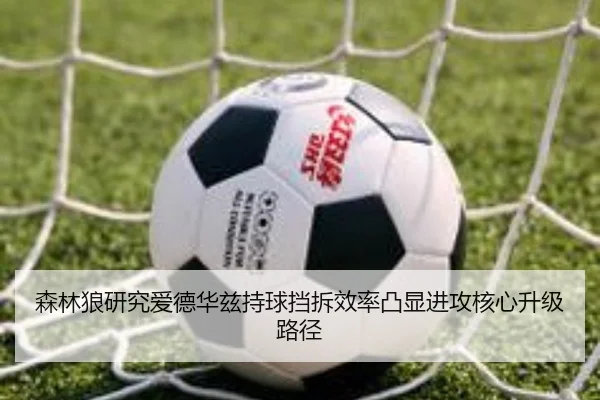 森林狼研究爱德华兹持球挡拆效率凸显进攻核心升级路径